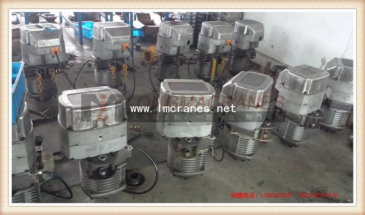 环链<a href='http://www.lmcranes.net/a/3/a/3/3-6/' target='_blank'><u>葫芦</u></a>厂家,环链<a href='http://www.lmcranes.net/a/3/a/3/3-6/' target='_blank'><u>葫芦</u></a>价格,环链电动<a href='http://www.lmcranes.net/a/3/a/3/3-6/' target='_blank'><u>葫芦</u></a>配件